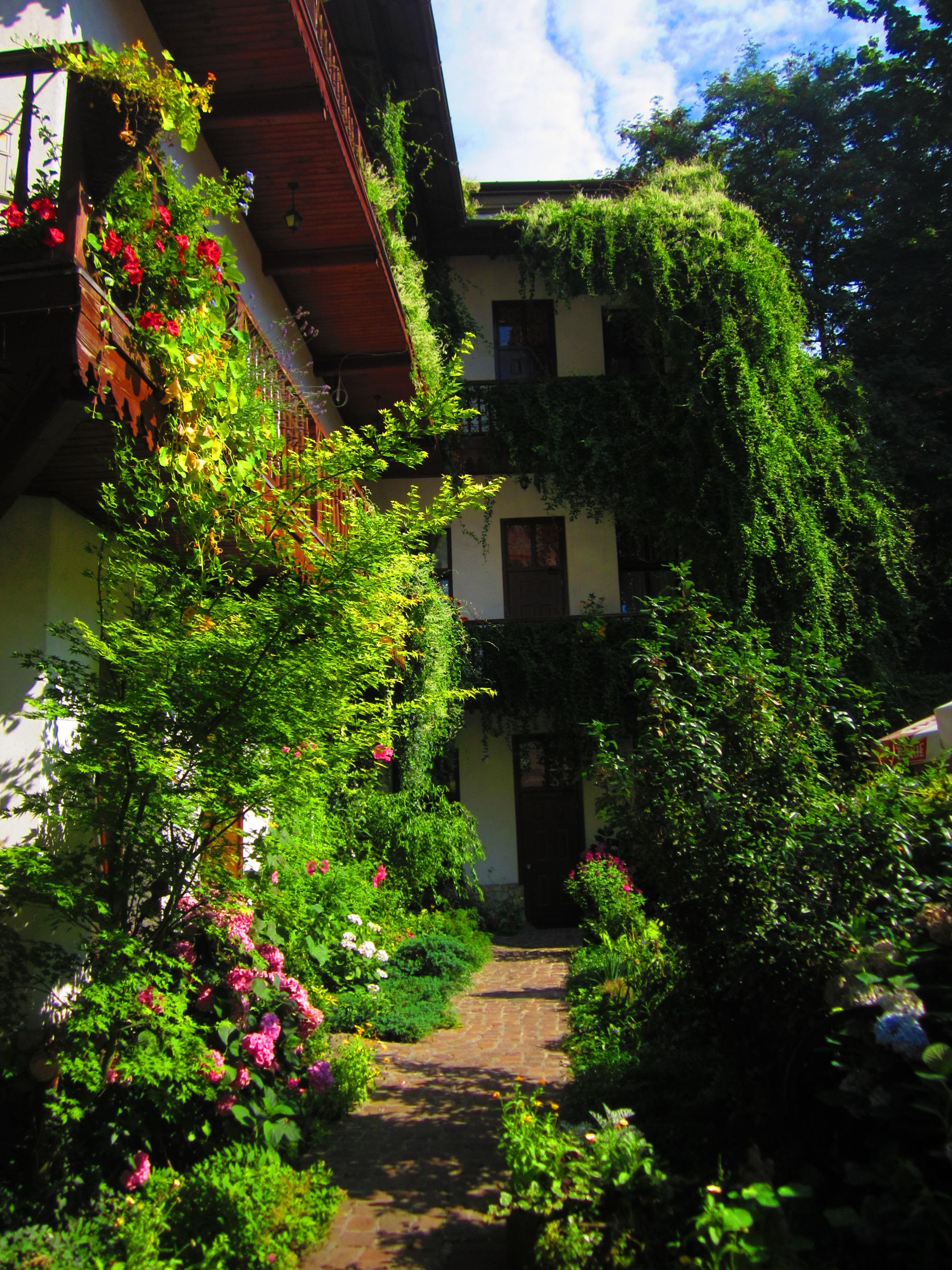 Globtroter Guest House كراكوفيا المظهر الخارجي الصورة