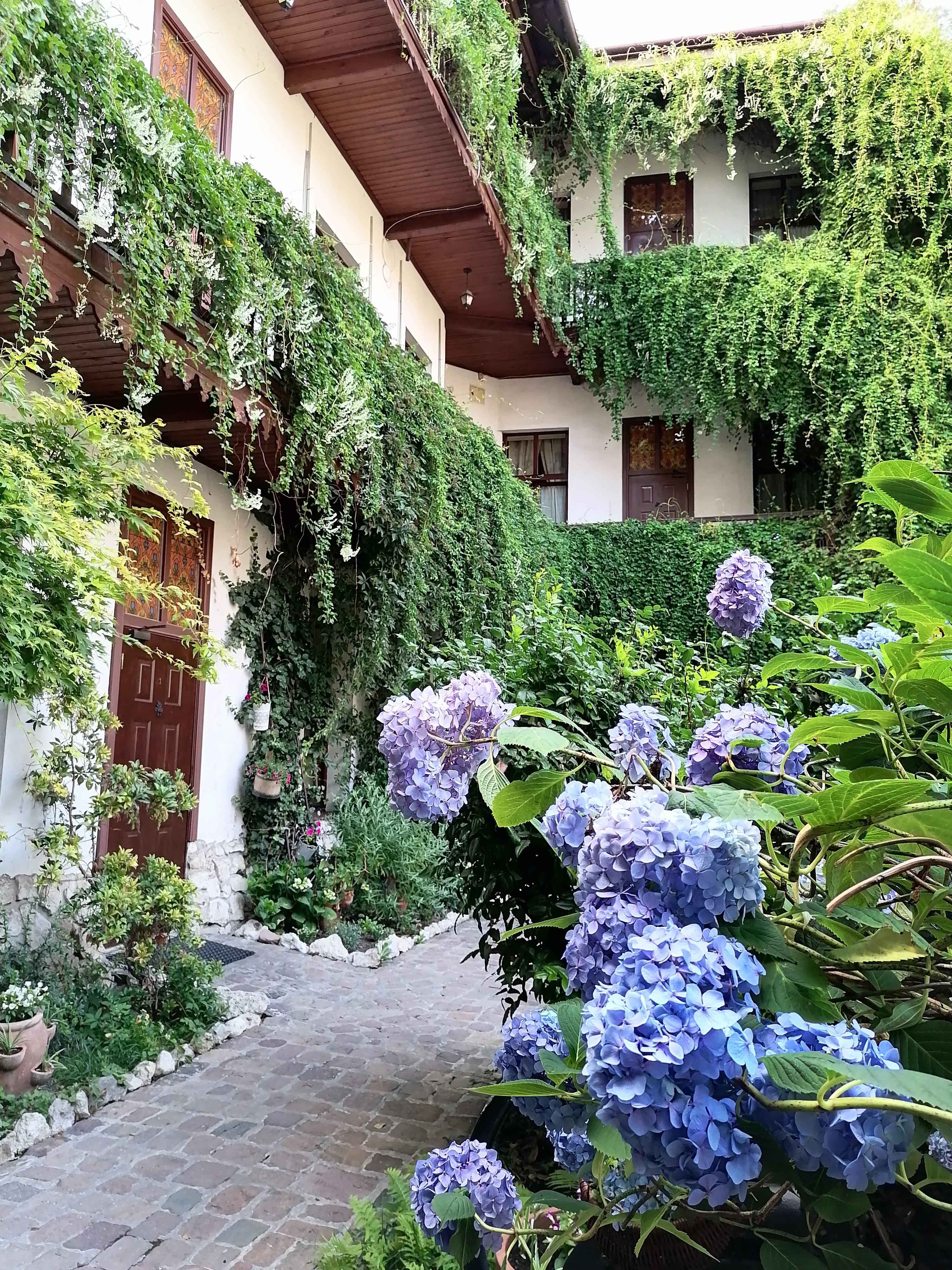Globtroter Guest House كراكوفيا المظهر الخارجي الصورة