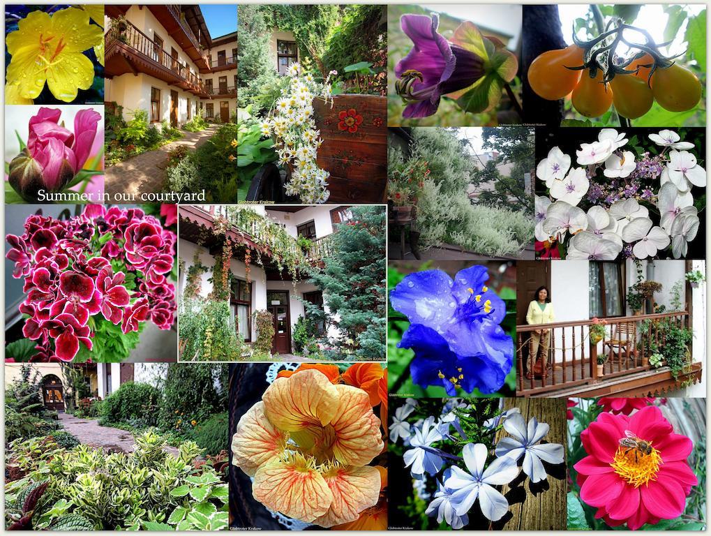 Globtroter Guest House كراكوفيا المظهر الخارجي الصورة