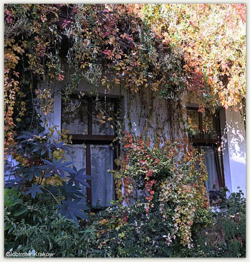 Globtroter Guest House كراكوفيا المظهر الخارجي الصورة